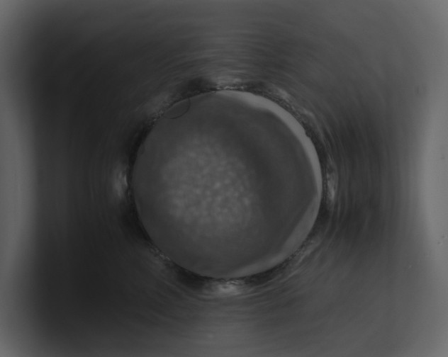 X0000100950618200807151338