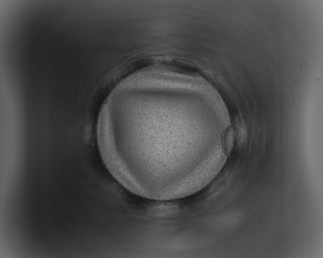 X0000100950619200807151338