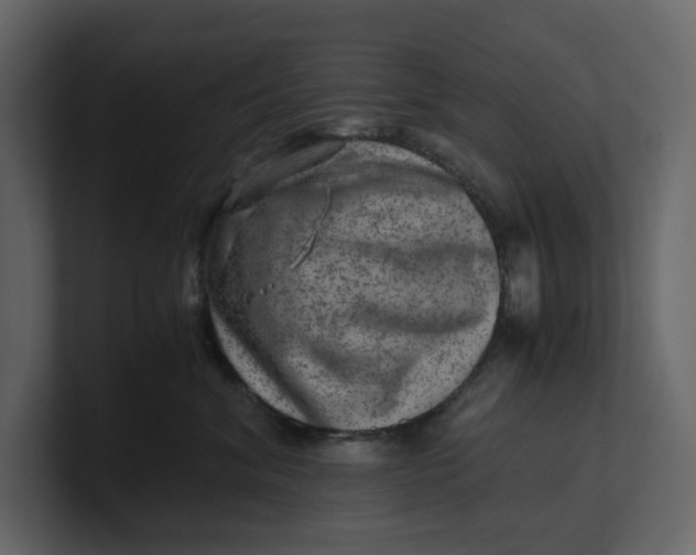 X0000100950620200807151338