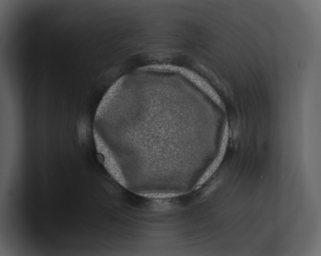 X0000100950623200807151338