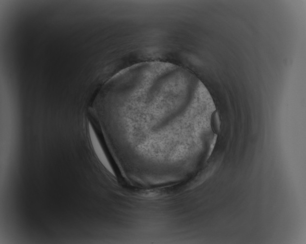 X0000100950624200807151338