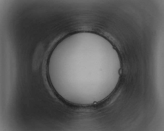 X0000100950625200807151337