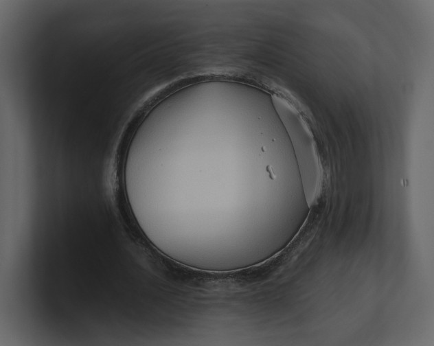 X0000100950628200807151337