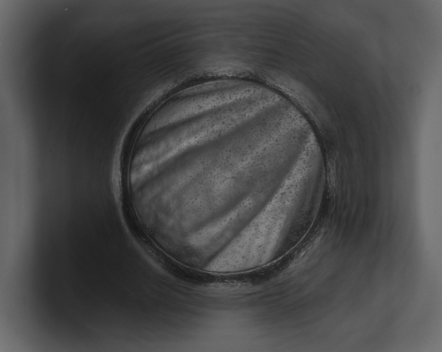 X0000100950630200807151337