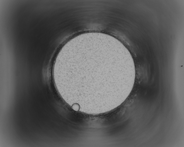 X0000100950632200807151337