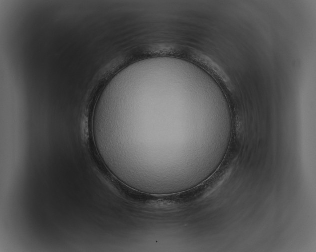 X0000100950633200807151337