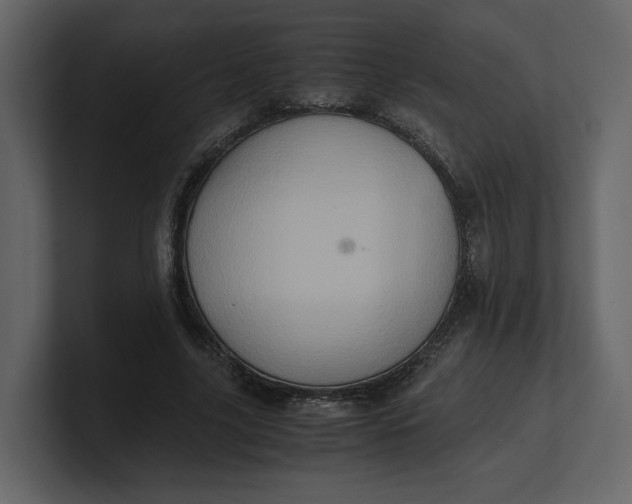 X0000100950635200807151338