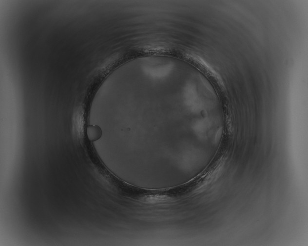 X0000100950637200807151338