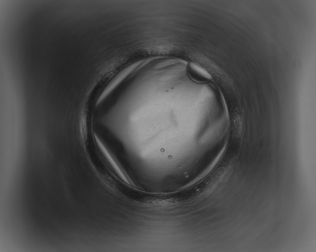 X0000100950638200807151338