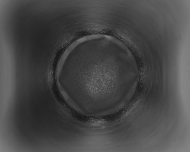 X0000100950642200807151338