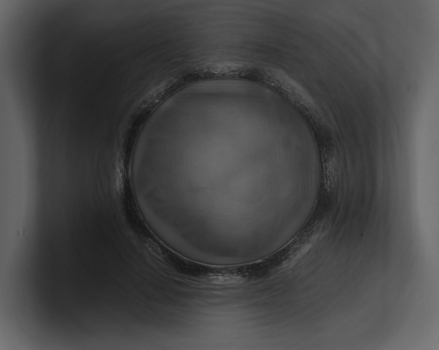 X0000100950644200807151338