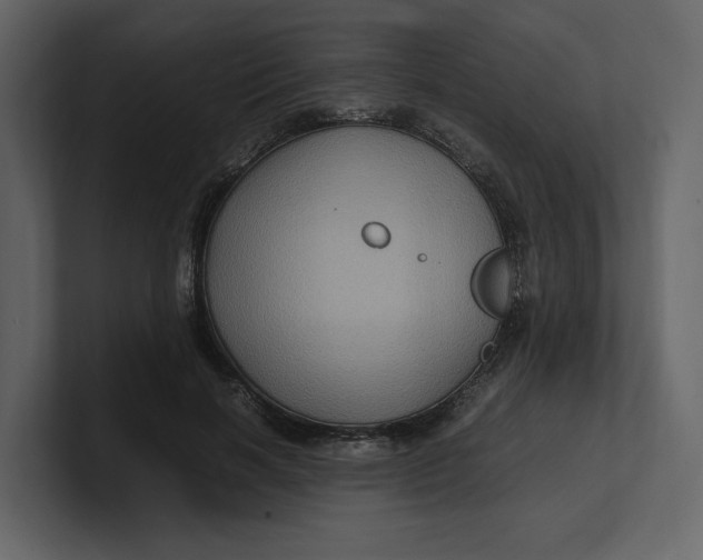 X0000100950646200807151338