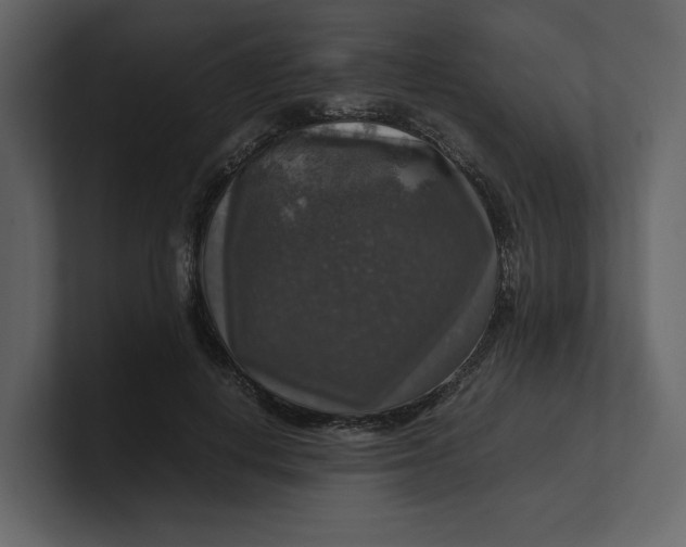 X0000100950648200807151338