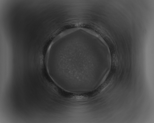 X0000100950650200807151338