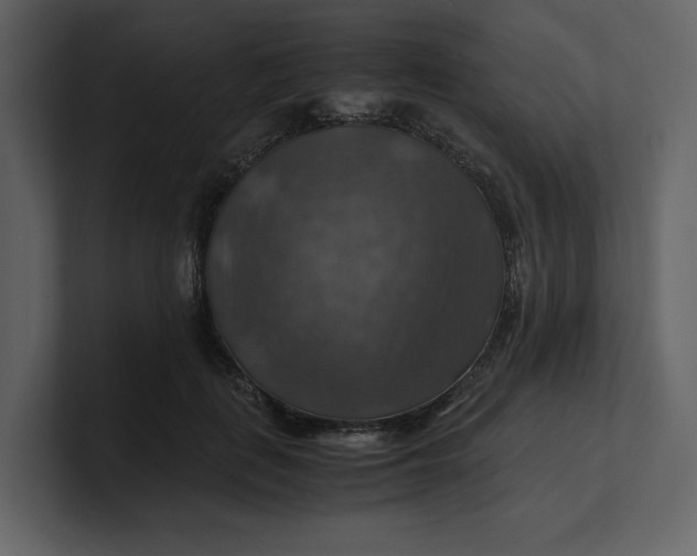 X0000100950651200807151338