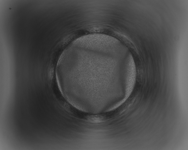 X0000100950652200807151338