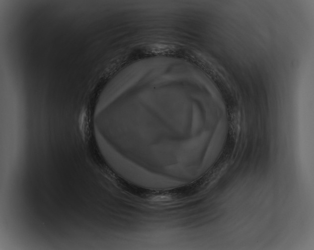 X0000100950653200807151338