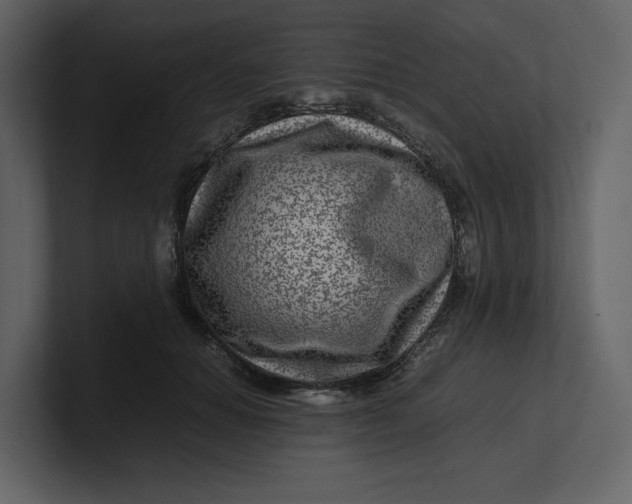 X0000100950654200807151338