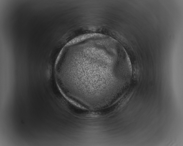 X0000100950656200807151338