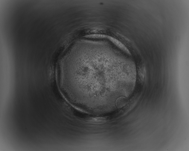 X0000100950657200807151338