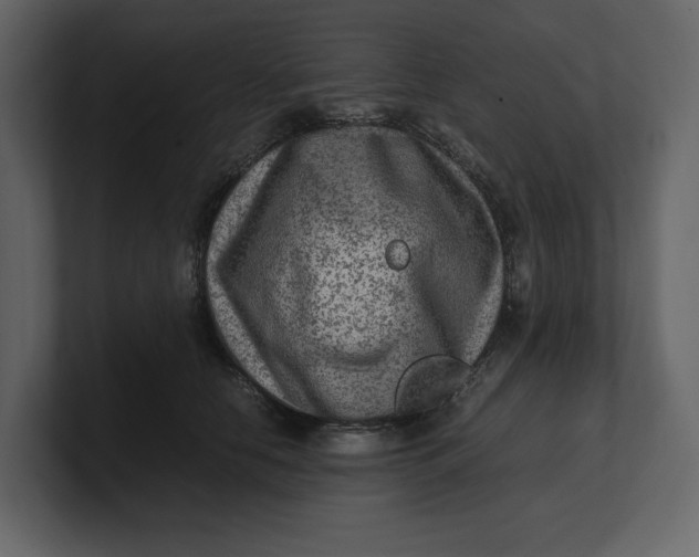 X0000100950658200807151338