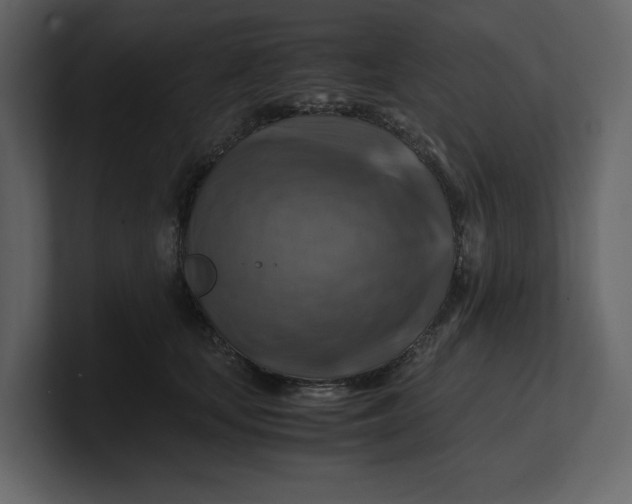 X0000100950659200807151338