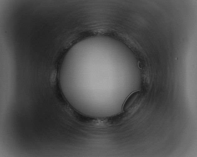 X0000100950660200807151338