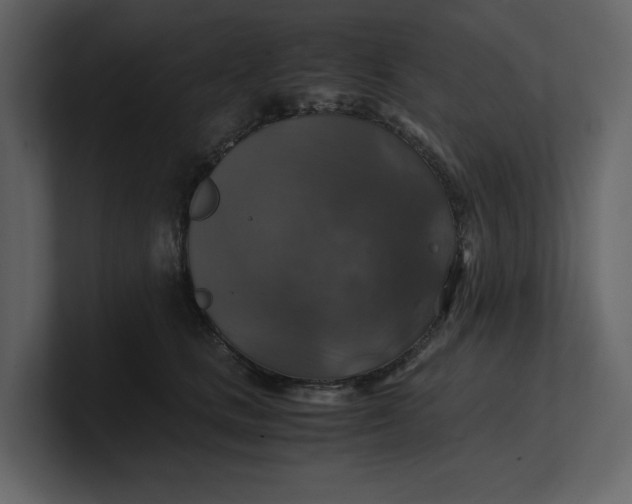 X0000100950661200807151338