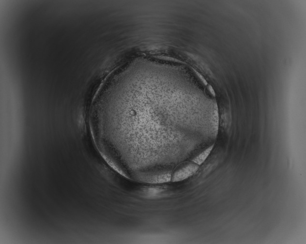 X0000100950662200807151338