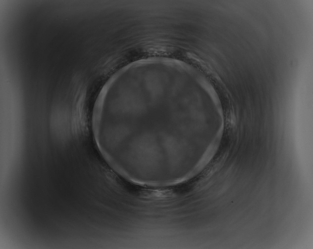 X0000100950663200807151338