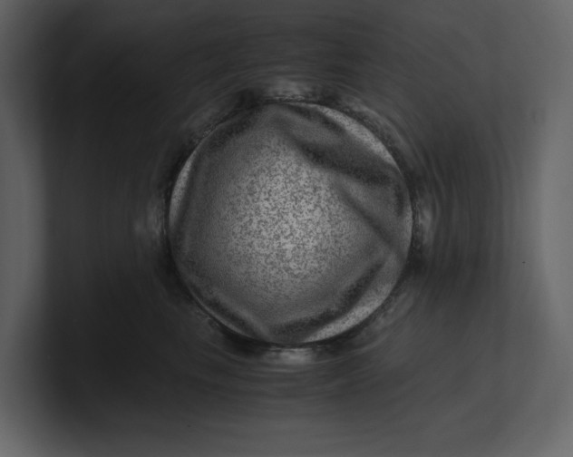 X0000100950665200807151338