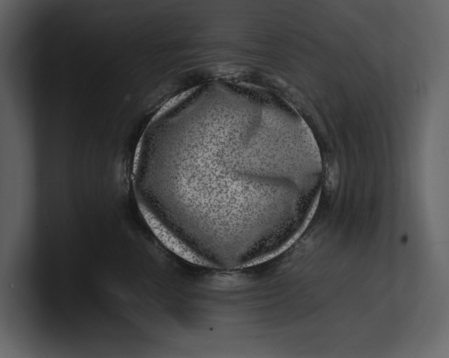 X0000100950666200807151338