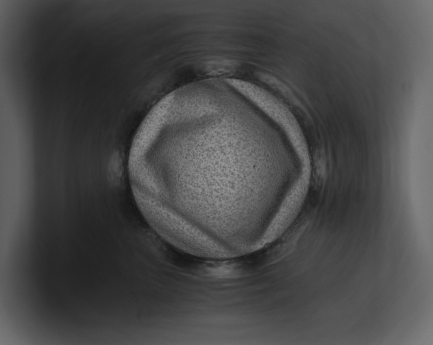 X0000100950667200807151338