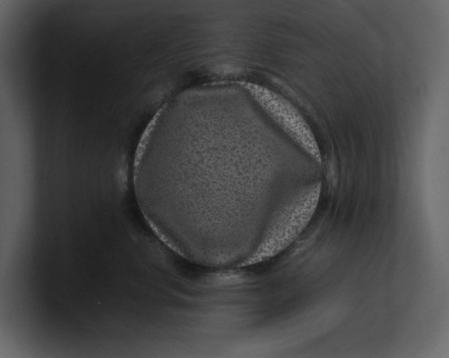 X0000100950668200807151338