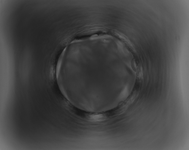 X0000100950669200807151338