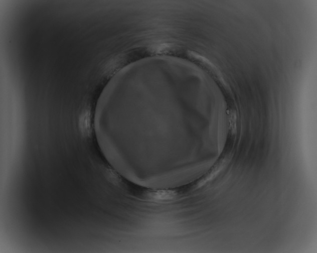 X0000100950670200807151338