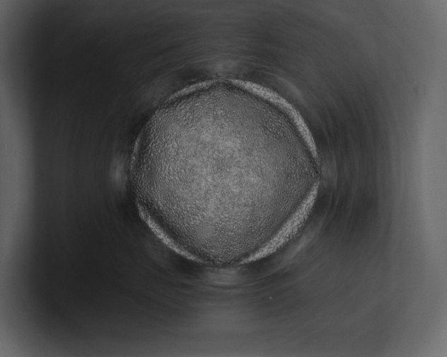 X0000100950671200807151338