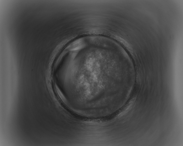 X0000100950673200807151337