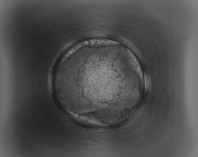 X0000100950675200807151337