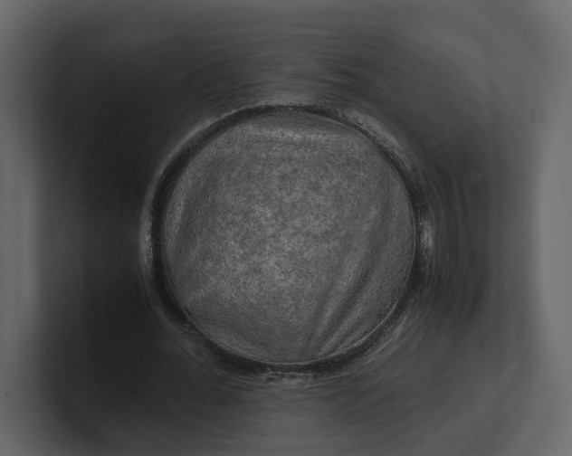 X0000100950676200807151337