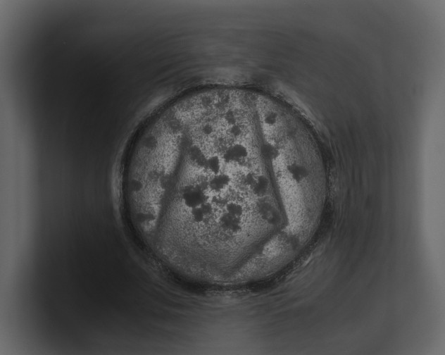 X0000100950679200807151337