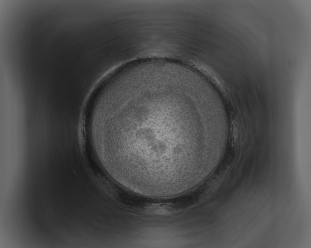 X0000100950680200807151337