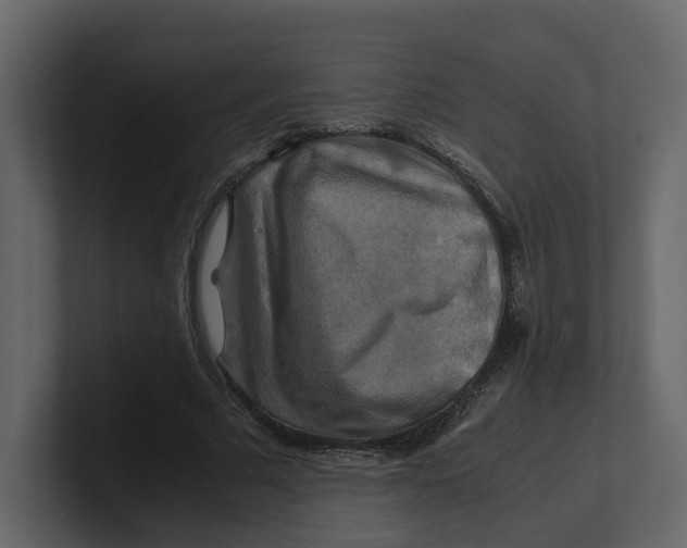 X0000100950681200807151337