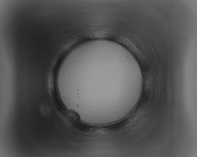 X0000100950683200807151337