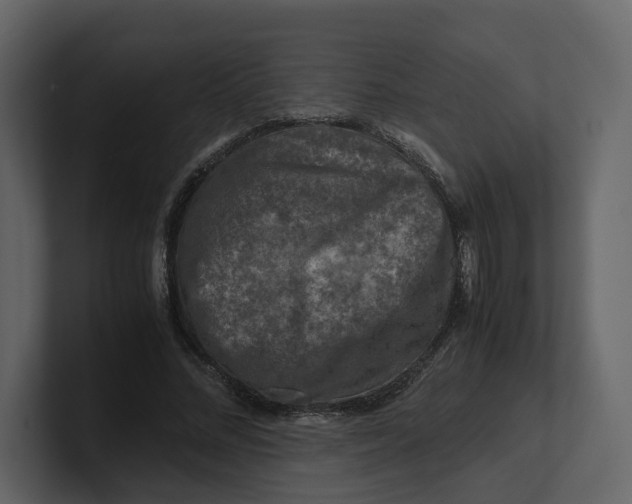 X0000100950684200807151337