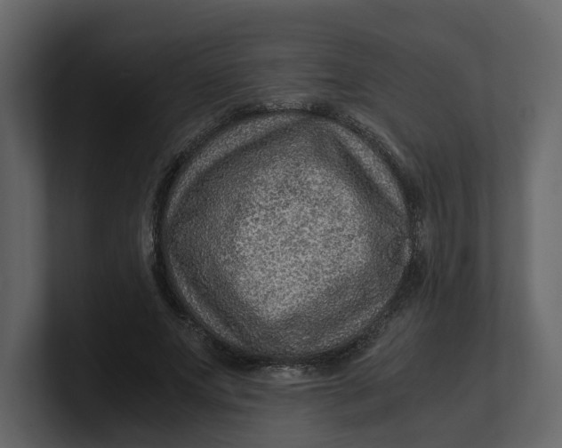 X0000100950687200807151337