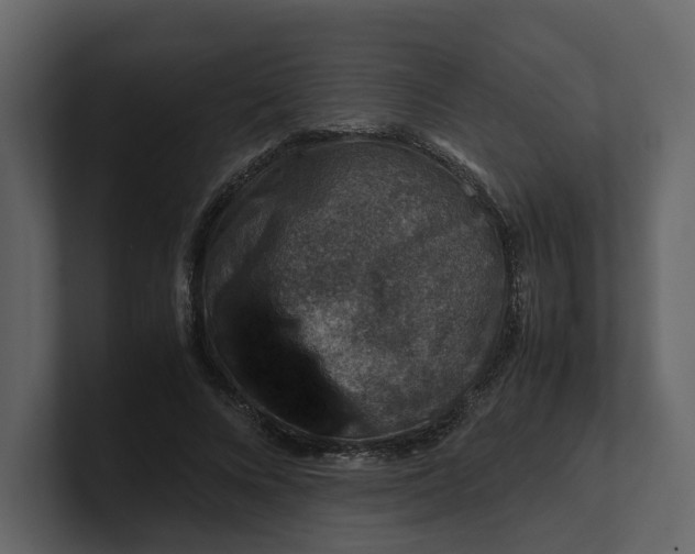 X0000100950688200807151337