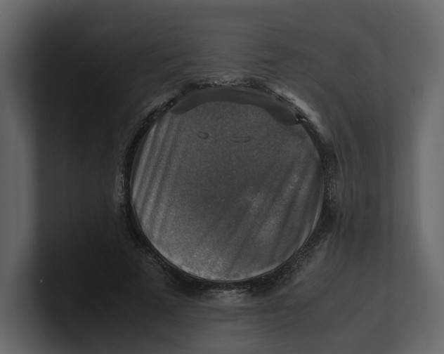 X0000100950689200807151337