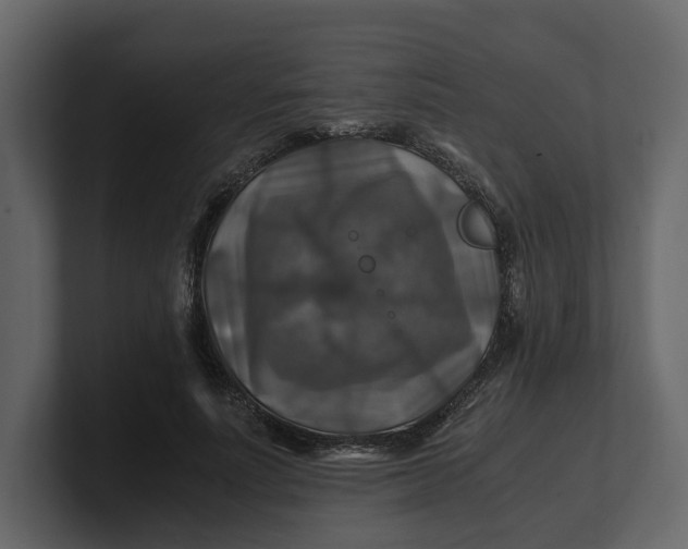 X0000100950691200807151337