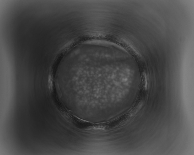 X0000100950692200807151337